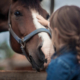 Reitpädagogik/Heilpädagogische und therapeutische Förderung mit Pferden